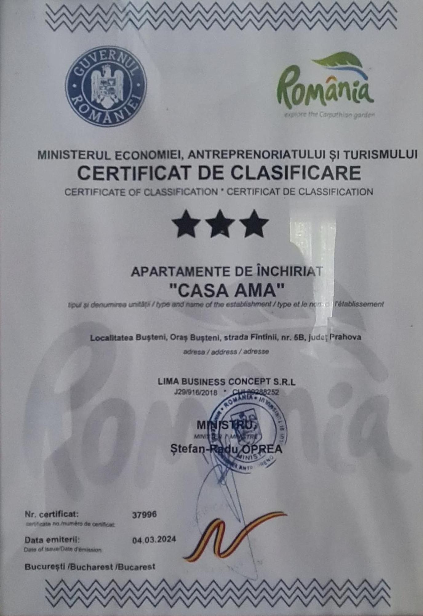 Casa Ama Βίλα Buşteni Εξωτερικό φωτογραφία