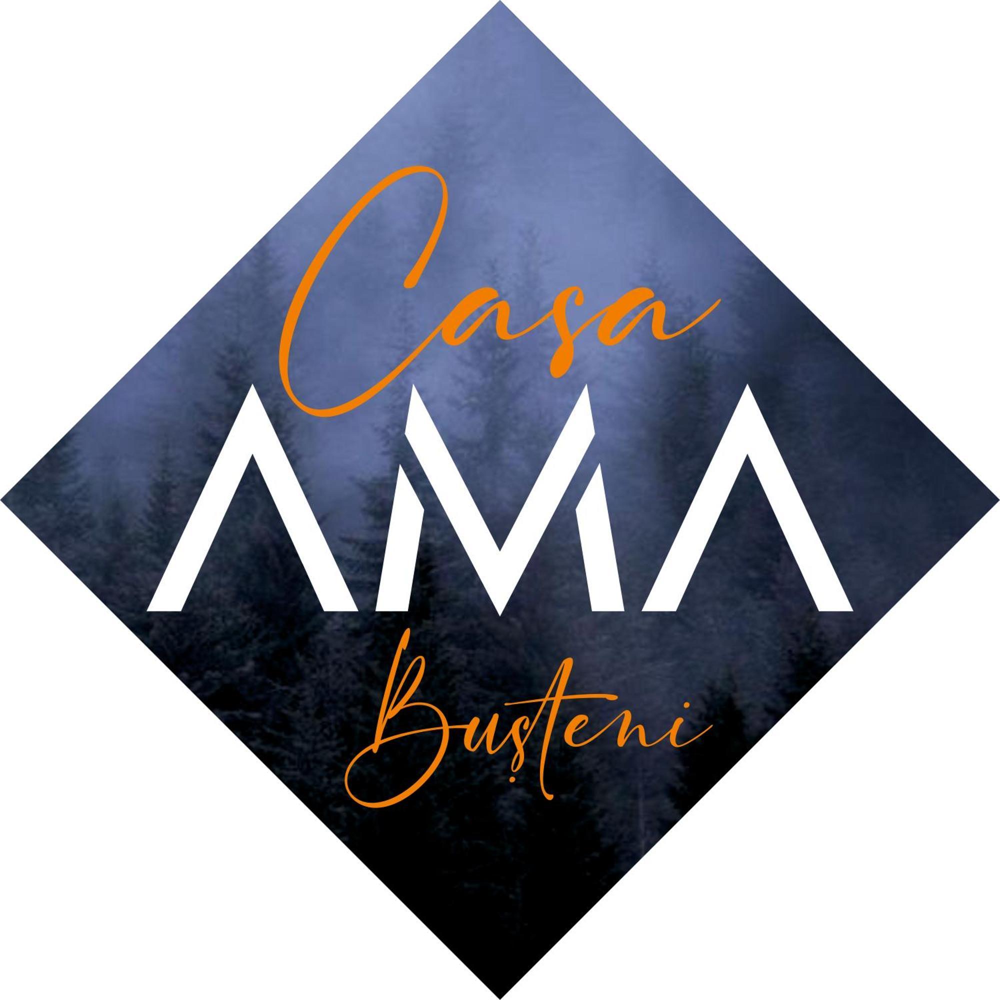 Casa Ama Βίλα Buşteni Εξωτερικό φωτογραφία